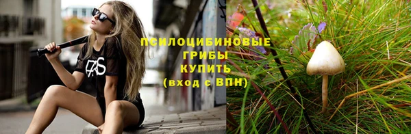 a pvp Абинск