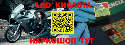 прущие грибы Кингисепп