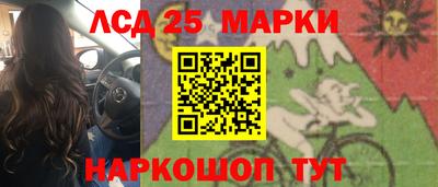 прущие грибы Кингисепп