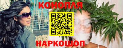 прущие грибы Кингисепп