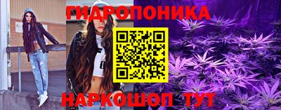 прущие грибы Кингисепп