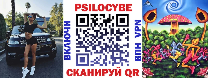 наркота  Лесозаводск  Галлюциногенные грибы Psilocybe 