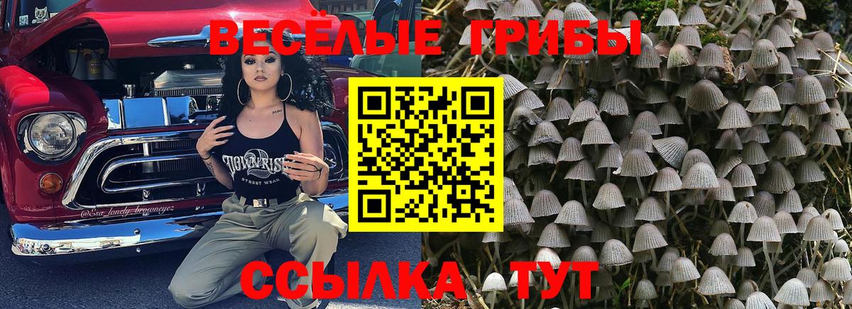 Псилоцибиновые грибы ЛСД  Вход с VPN  Лесозаводск 